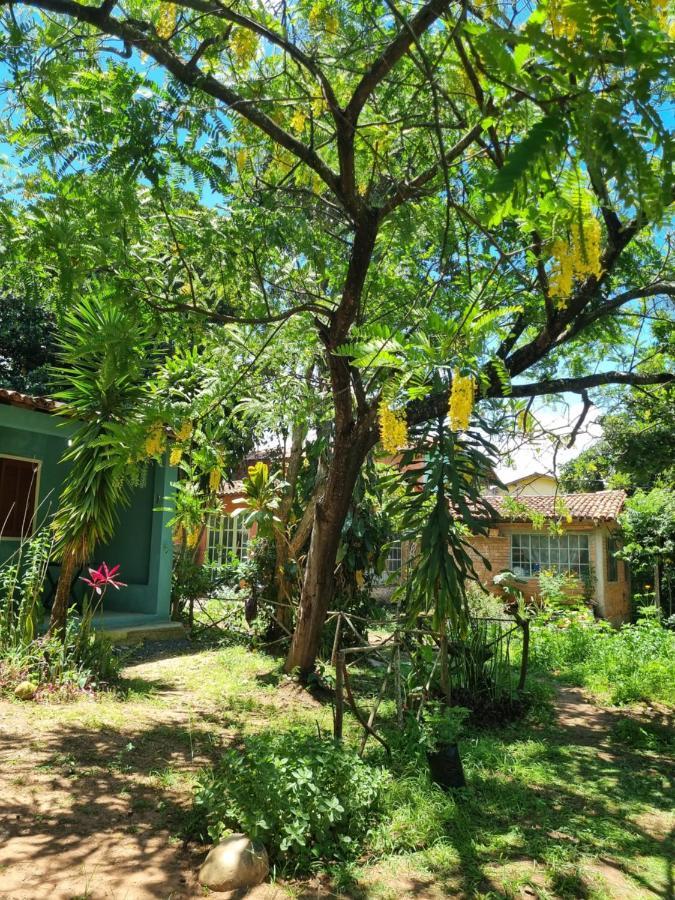 Vila Das Acacias 발레 두 카파오 외부 사진